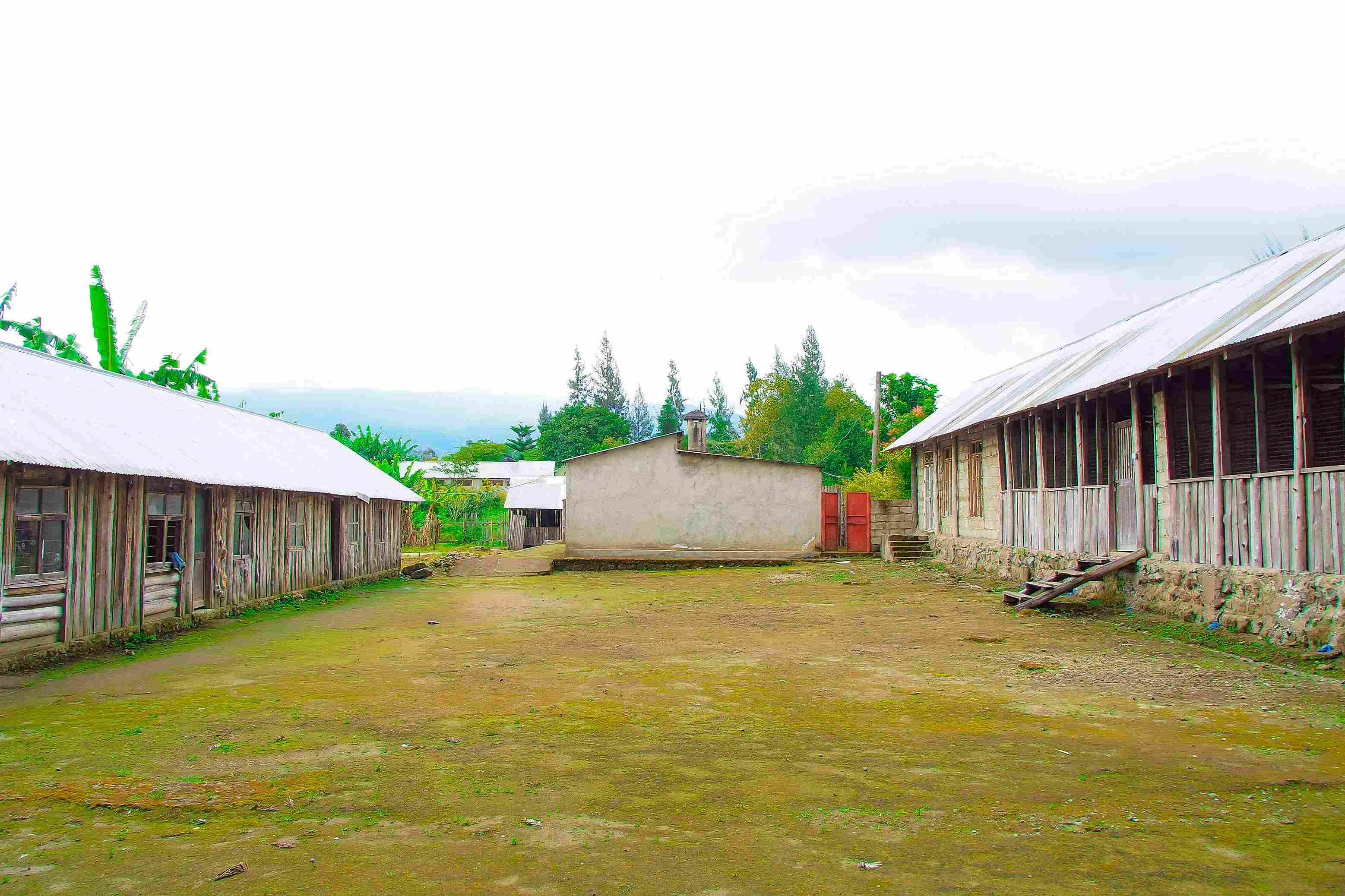 blog-01